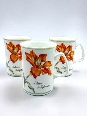 Rose of England Bone China Orange Lily Mugs Set of 3 Lilium Bulbiferum UK 4"
